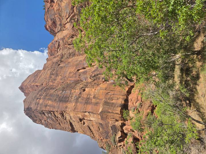 A towering vertical sandstone wall looms over green vegetation and a bright blue sky.