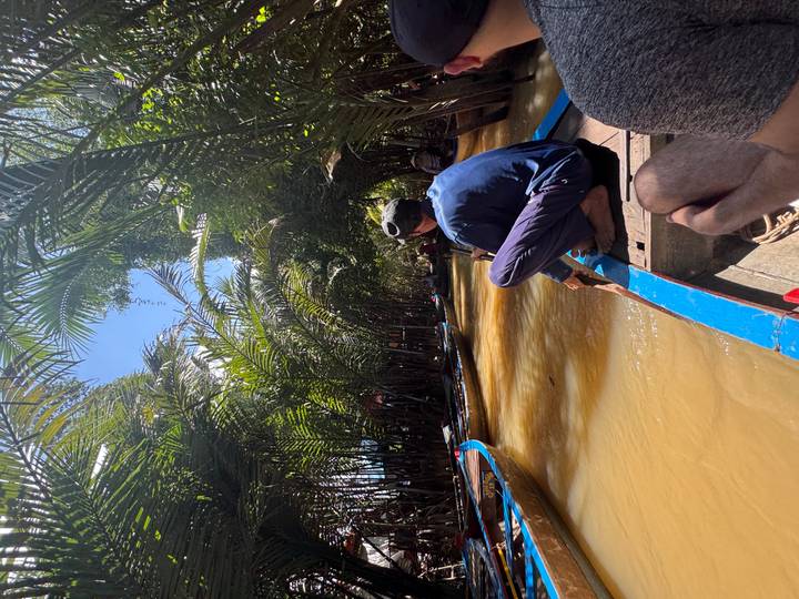 Man paddles narrow wooden boat through dense palm canals under bright sun
