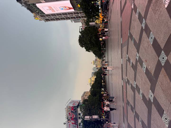 Wide pedestrian boulevard framed by trees and distant colonial buildings during early evening.