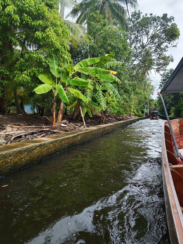 Narrow canal lined with banana and palm trees viewed from a wooden boat.