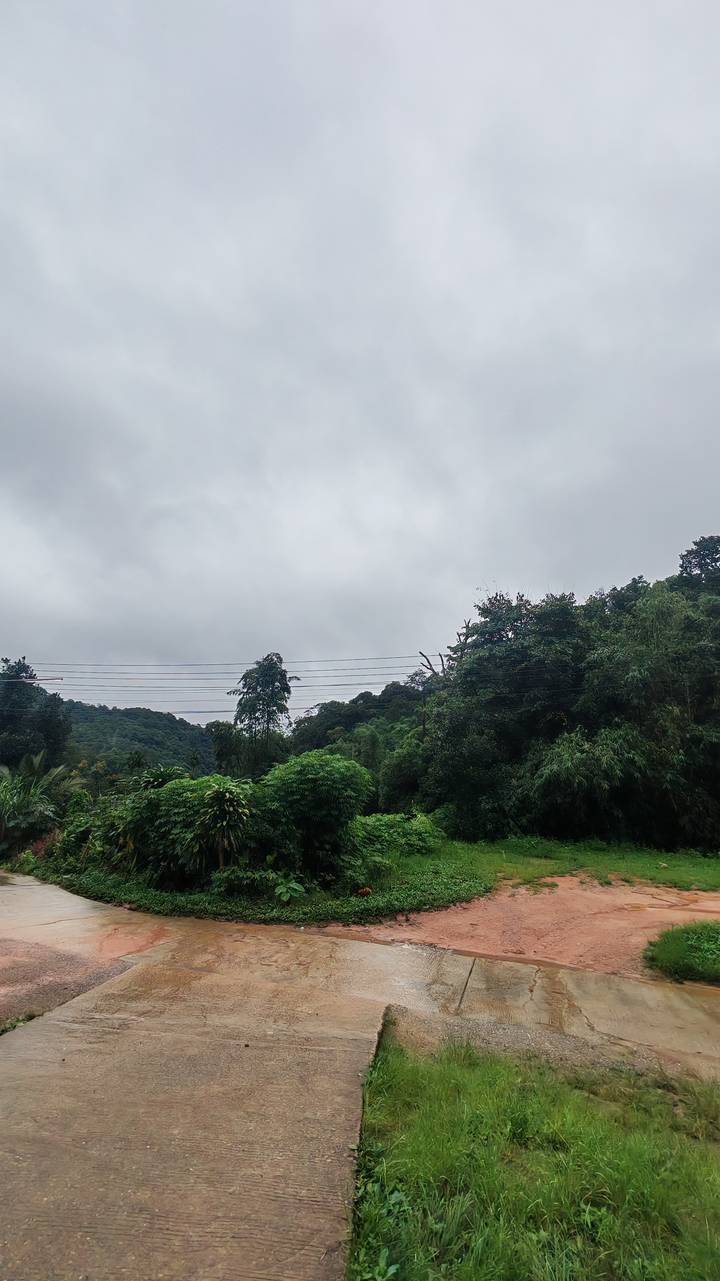 Overcast sky above green hills and jungle with power lines crossing foreground
