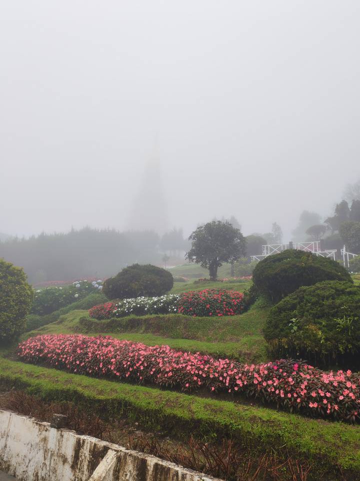 Foggy botanical garden with flower beds and faint silhouette of pagoda or monument in background