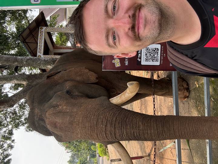 Selfie with Asian elephant behind fence, tusks visible and informational sign with QR code