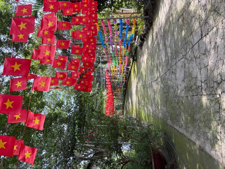 Pathway shaded by rows of Vietnamese flags and colorful pinwheels creating a festive tunnel effect