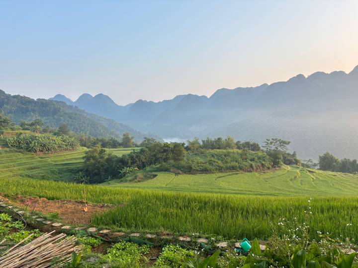 Soft morning light over terraced rice fields and mist-covered mountains in a tranquil valley