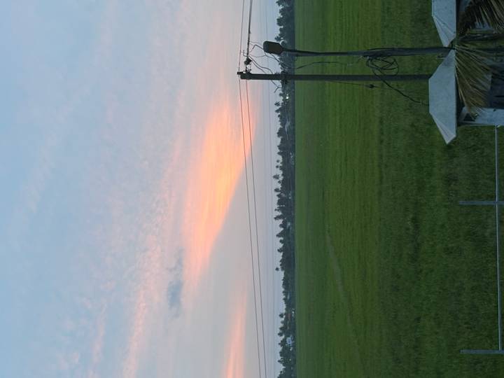 Soft orange sunset glow stretches over flat green rice fields crossed by power lines.