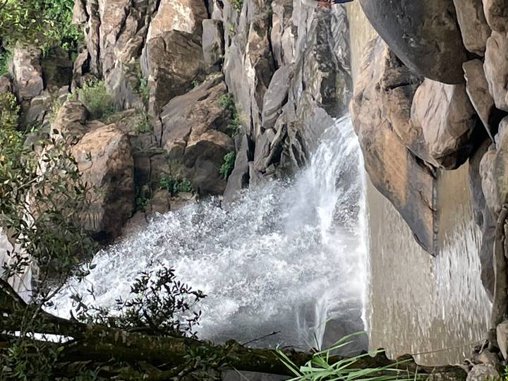 Water tumbles over a rocky ledge into a pool amid lush greenery.