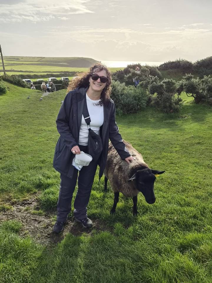 Visitor feeds a friendly sheep on a green pasture with other grazing animals in the background.