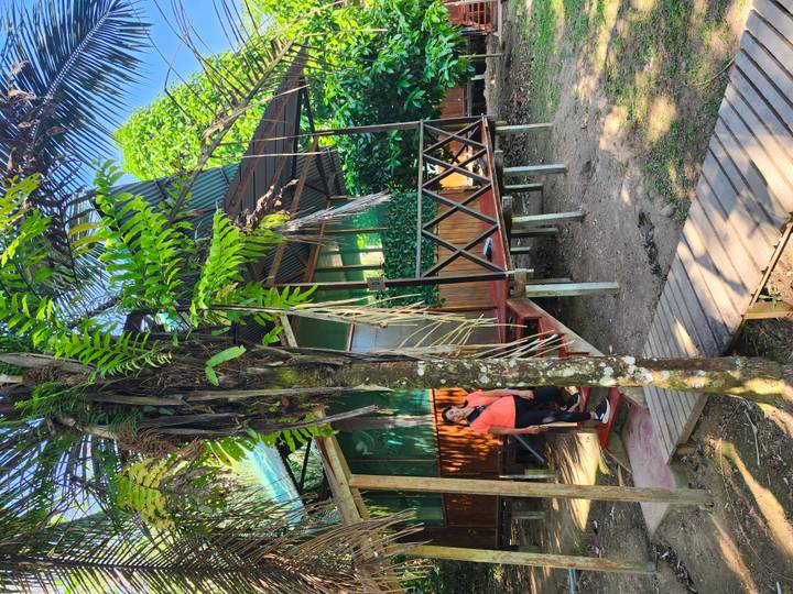 Wooden jungle lodge on stilts with two visitors standing by the steps among lush foliage
