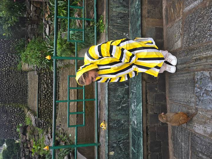 Traveller in a striped raincoat crouches to watch a small monkey on a wet stone path.