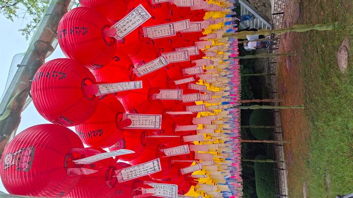 Bright red lanterns with handwritten wishes hang in dense rows at a Korean temple festival.