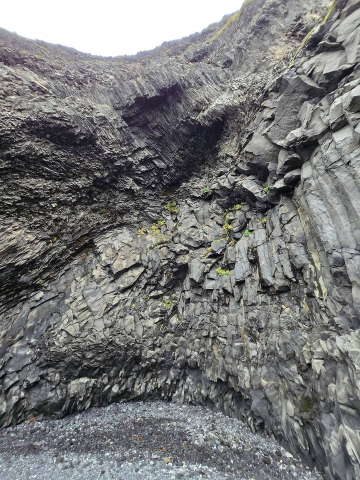 Close-up of dark basalt cliff walls with hexagonal columns and small tufts of greenery.