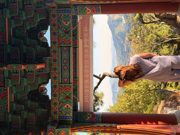 A traveller admires a panoramic view of Seoul from a hillside pavilion framed by colourful painted eaves and distant city skyline.