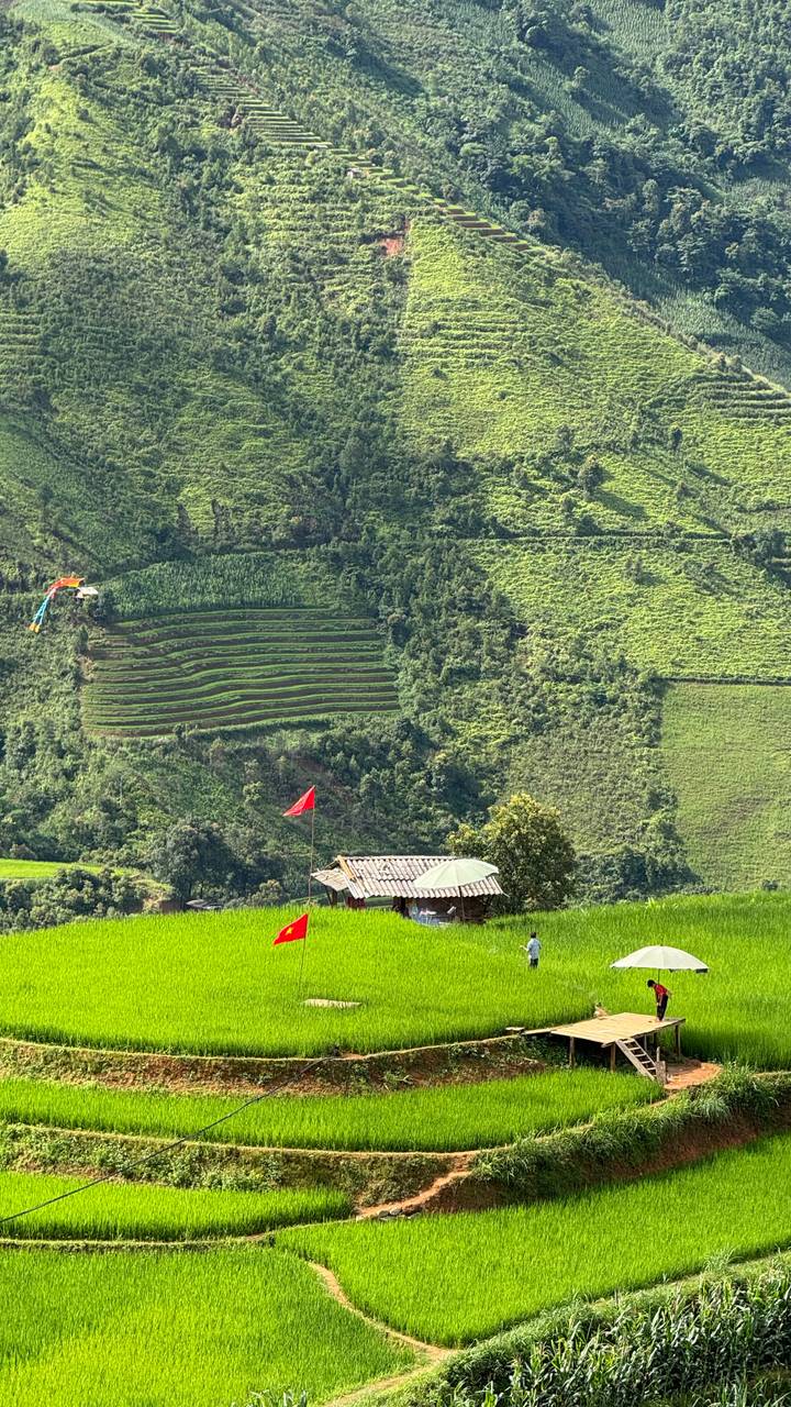 Close hillside of steep terraced rice paddies with small shelter and colorful kite in sky.