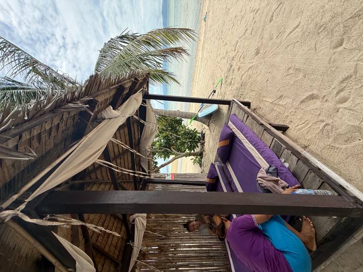 A rustic beachfront cabana with purple mattresses sits beside white sand and palm trees.