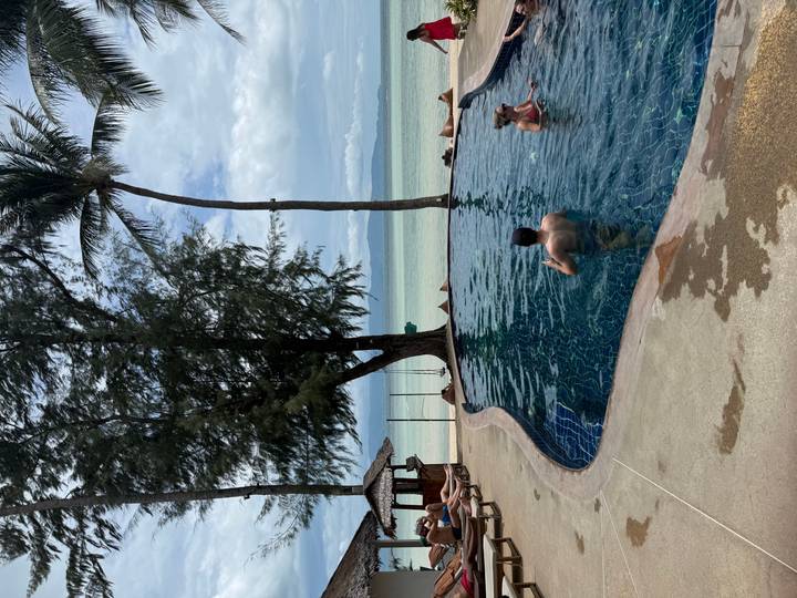 Small beachfront pool ringed by loungers where guests enjoy a swim beneath tall palms and ocean views.