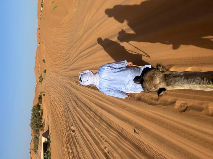 View from atop a camel as a guide leads across golden Sahara dunes under a clear sky.