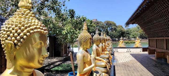 Row of golden Buddha statues overlooking a calm lake at a city temple.