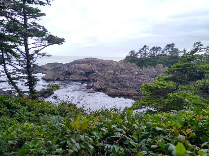 Rocky coastal inlet surrounded by evergreen trees under an overcast sky.