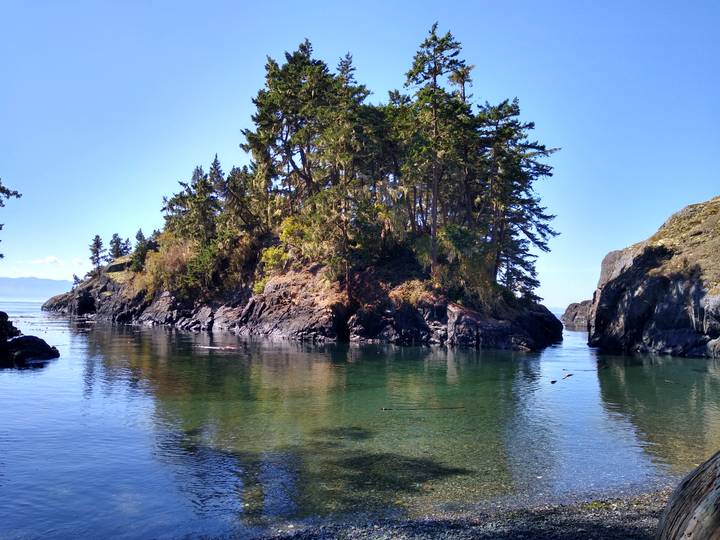 A small forested island sits in calm reflective water beneath a clear blue sky.