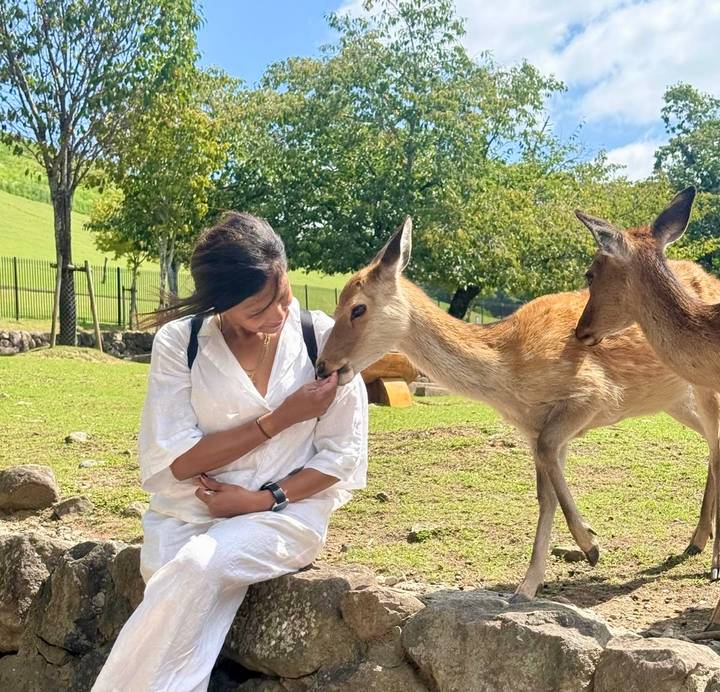 Woman feeds a friendly deer in a grassy park with rolling green hills.