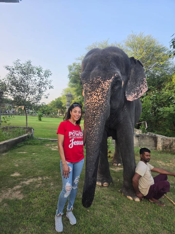 Smiling woman in red shirt stands next to a friendly decorated elephant in a grassy enclosure.