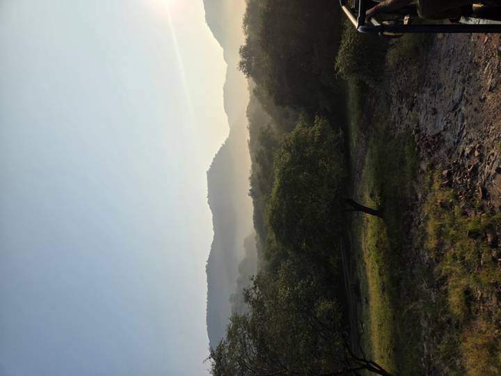 Misty sunrise over rolling hills and dense forest with a lone tree in the foreground.