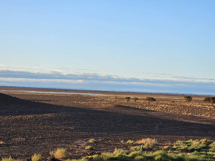 Vast, rocky desert plain under a pale blue sky with distant low hills.