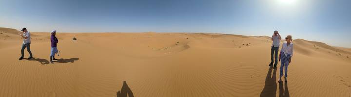 Vast panorama of smooth desert dunes under a clear blue sky with long shadows.