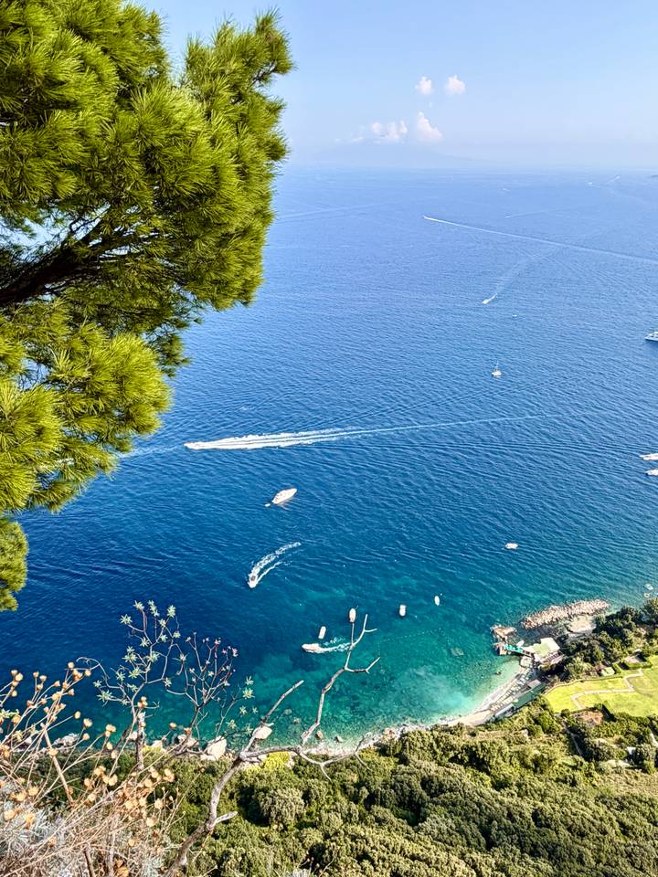 Speedboats leave white trails across deep blue waters viewed through pine branches on Capri.