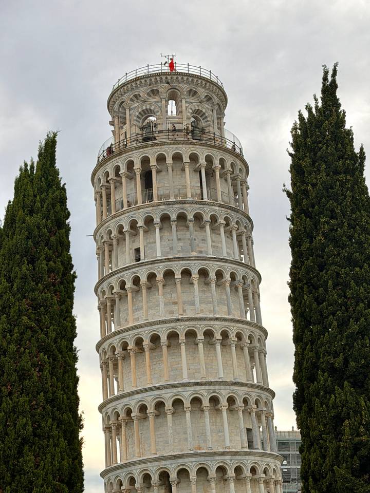 Close-up view of the upper section of the Leaning Tower of Pisa framed by two tall cypress trees against a bright sky