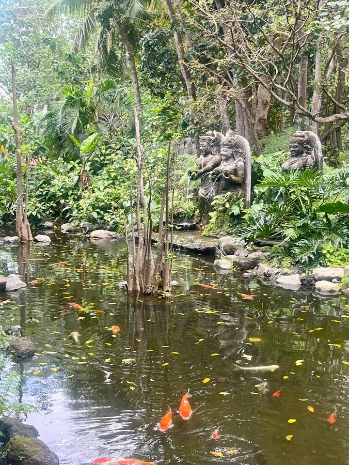 Serene koi pond surrounded by lush tropical plants and stone goddess statues.