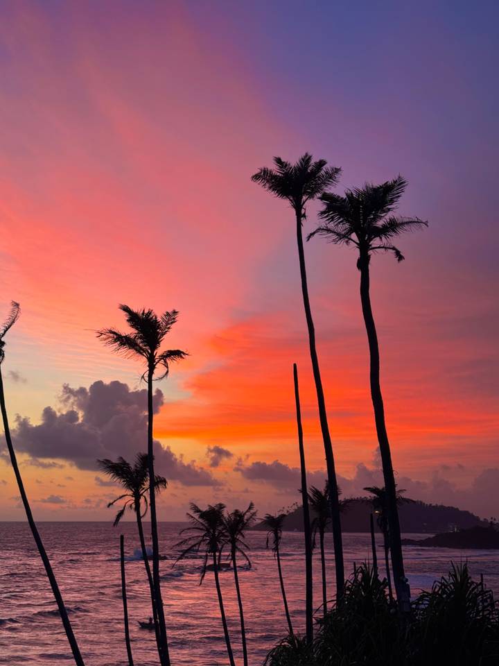 Silhouetted palms against a vivid pink and orange tropical sunrise sky.