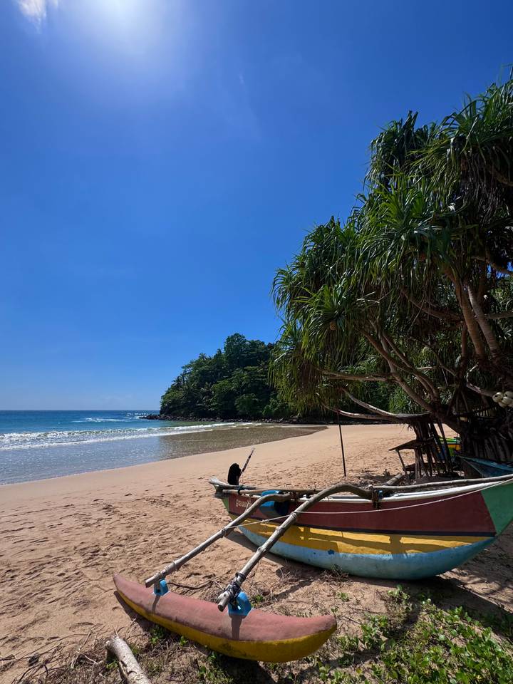 Secluded golden sand beach with clear blue water and tropical trees under cloudless sky.