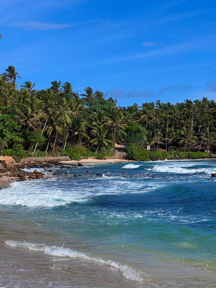 Tropical shoreline with palm forest and waves crashing onto sandy cove.