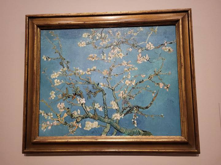 Van Gogh's 'Almond Blossom' painting on a pastel wall inside a gallery.