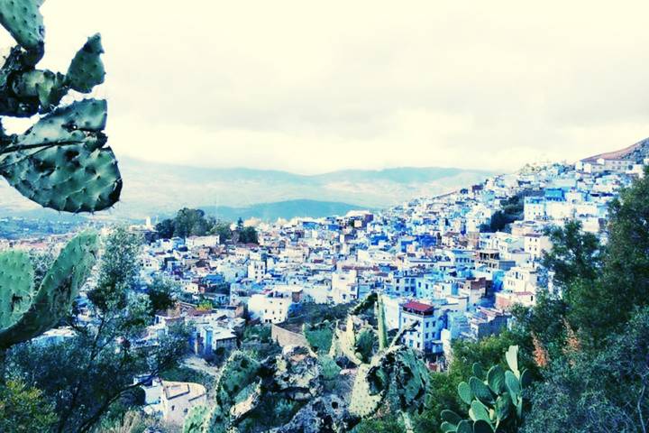 Panoramic hillside view over the blue-painted houses of Chefchaouen with cactus in foreground.