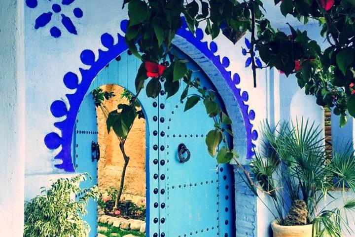 Decorative turquoise door framed by white and cobalt arches with leafy vines overhead.