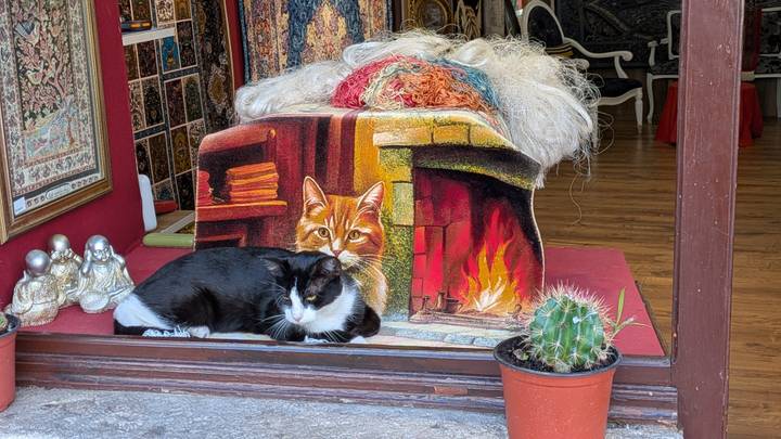 Black and white cat lounging beside a colorful tapestry in a cozy shop doorway.