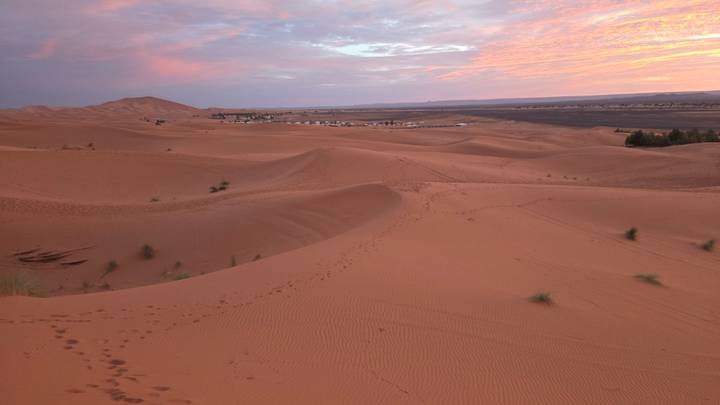 Vast rolling sand dunes glow pink and orange at sunrise with distant camp and plains visible.