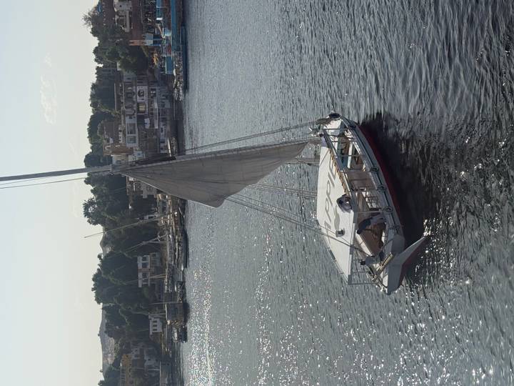 Single-sail felucca gliding on the Nile with riverside town in background on a sunny afternoon.