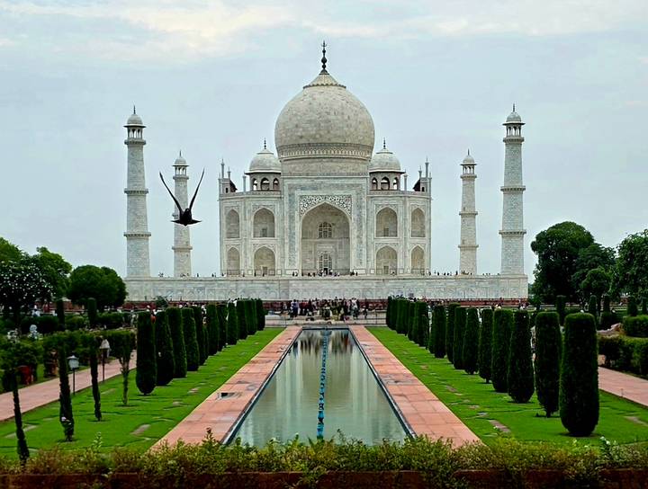Classic frontal view of the Taj Mahal with reflection pool and a bird mid-flight