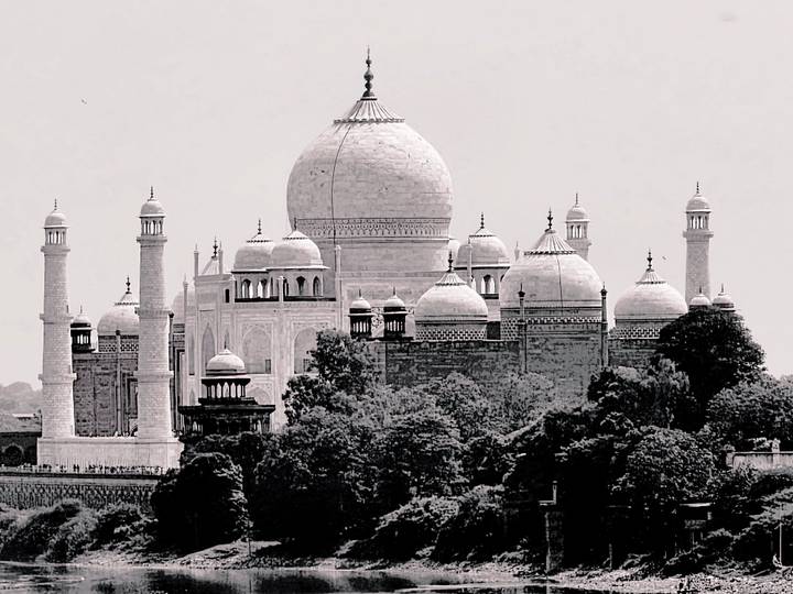 Black-and-white side profile of the Taj Mahal’s domes rising above surrounding trees