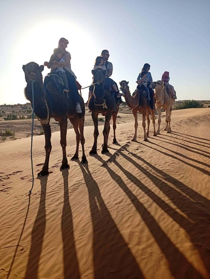 Camel caravan walking along golden sand dunes casting long morning shadows.