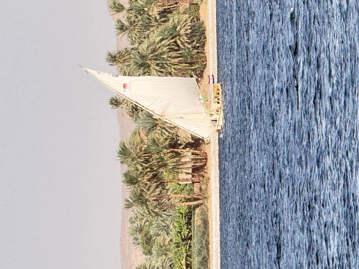 Traditional white-sailed felucca gliding along the Nile with palm trees lining the sandy bank.