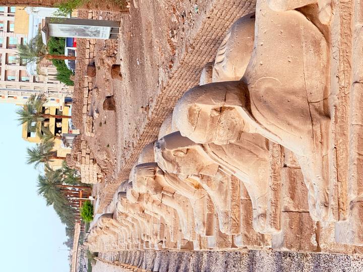 Row of sandstone sphinx statues forming the Avenue of Sphinxes with modern buildings in the distance.