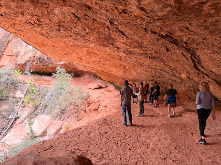 A tour group explores a spacious red-rock alcove with trees and shrubs at its base.