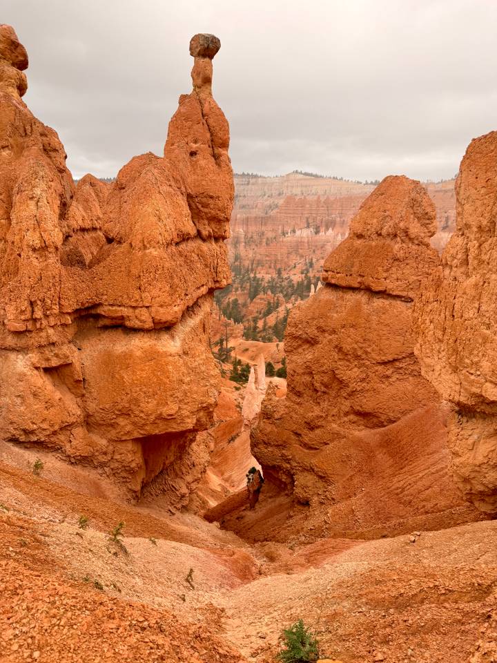 Jagged orange hoodoos frame a distant view of pine-studded canyon floors.
