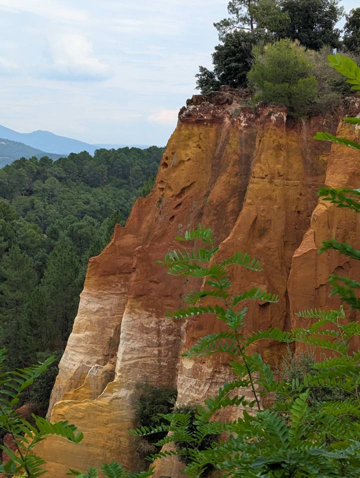 Colorful ochre rock face rising above dense pine forest