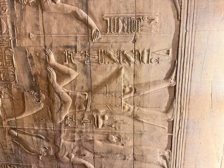 Vertical relief carving of pharaoh presenting offerings, etched deeply into sandstone temple wall.